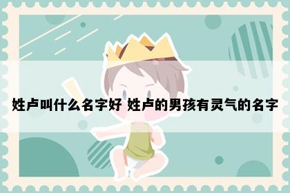 姓卢叫什么名字好 姓卢的男孩有灵气的名字