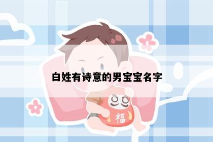 白姓有诗意的男宝宝名字